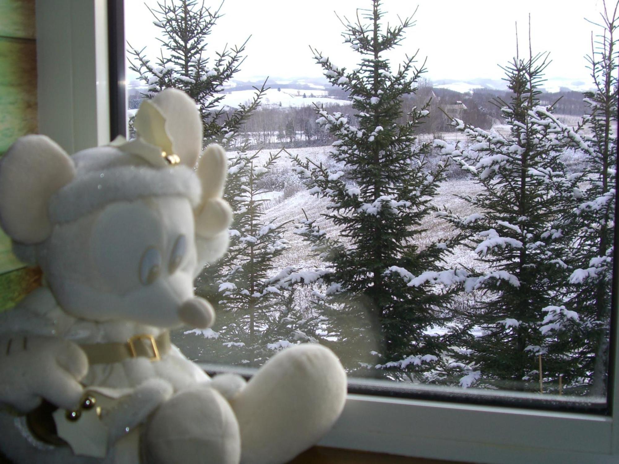 Pension Ken&Mary Biei Room photo